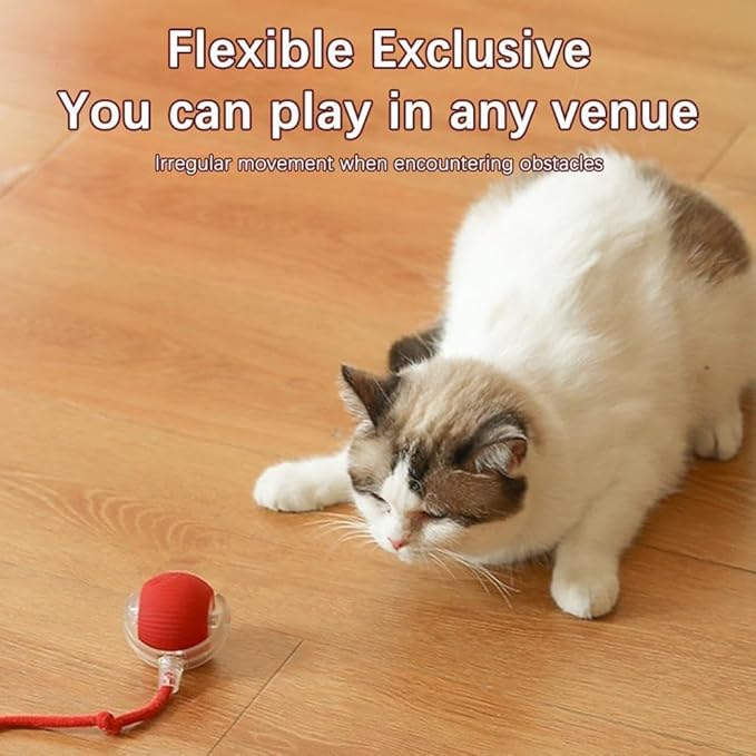 OnovaPets™ Ball With Tail