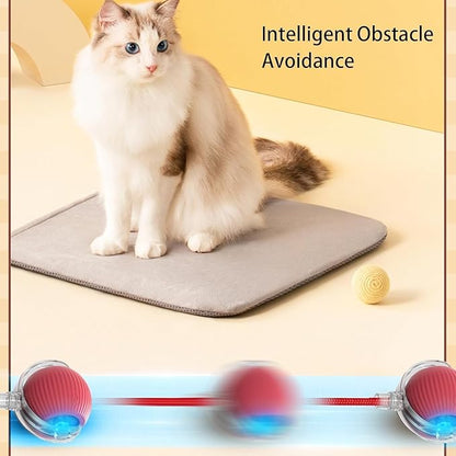 OnovaPets™ Ball With Tail