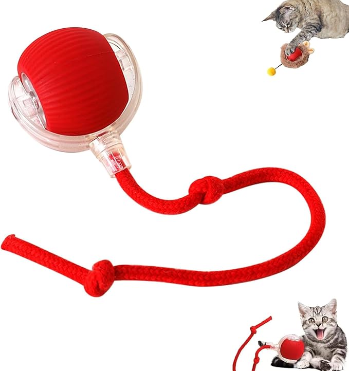 OnovaPets™ Ball With Tail