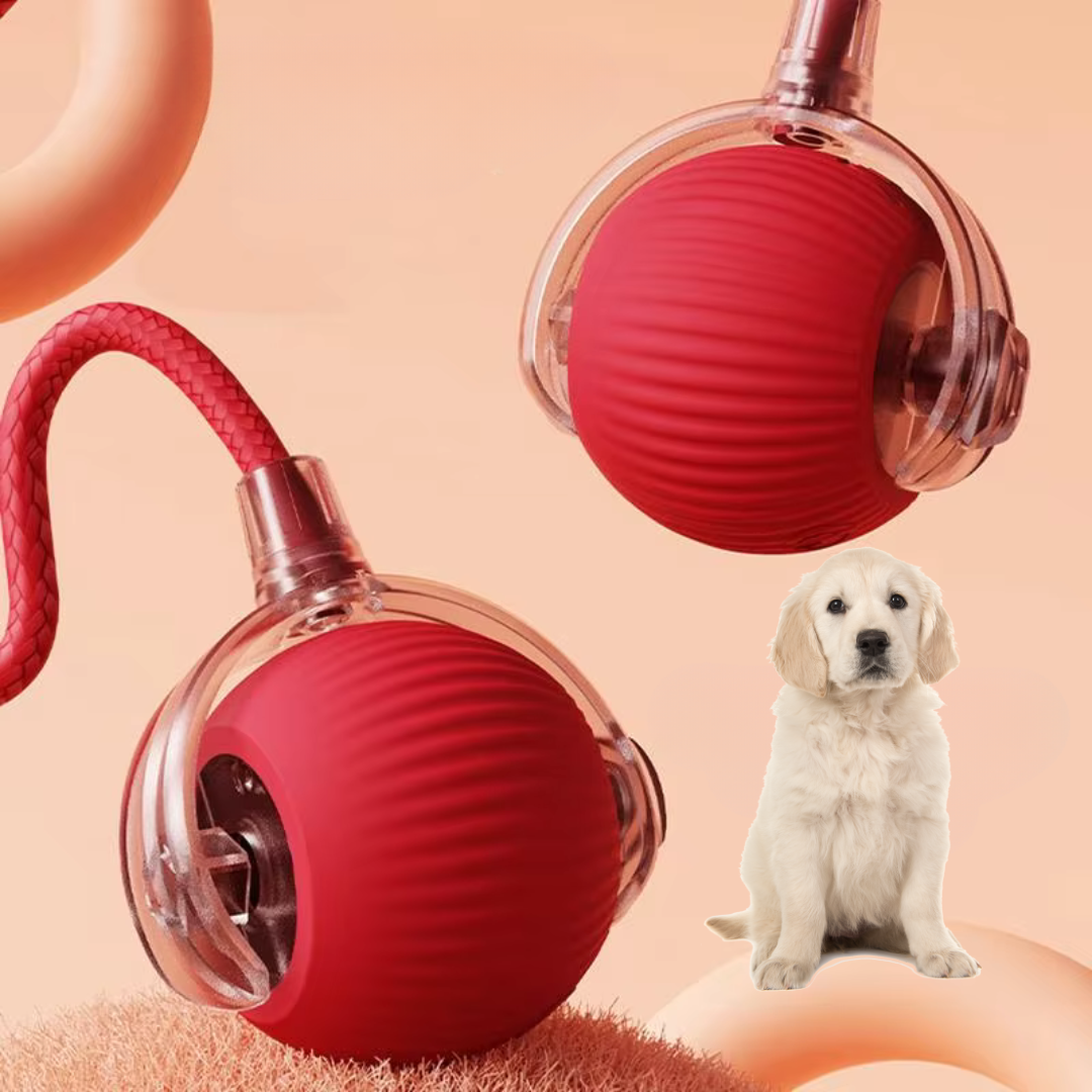 OnovaPets™ Ball With Tail
