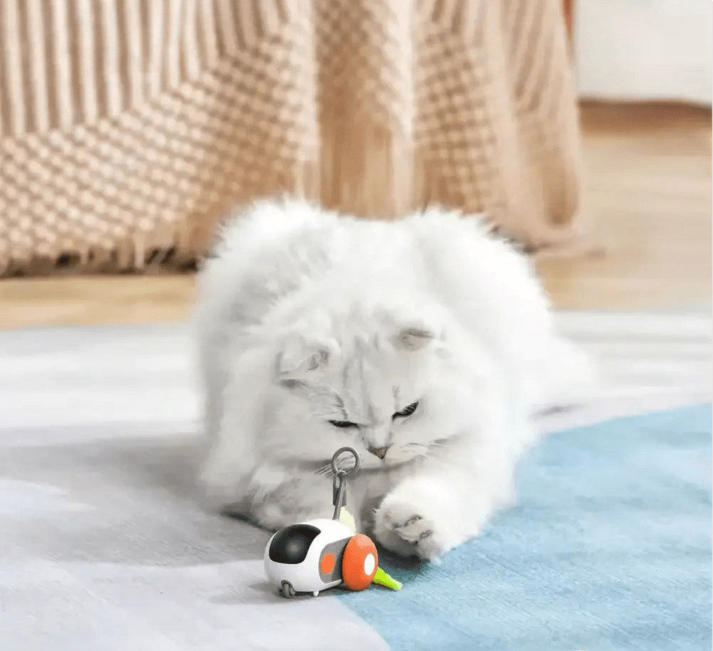 Turbo Tail 2.0 - OnovPets™ Toys