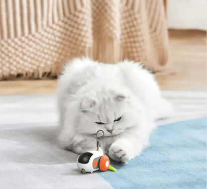 Turbo Tail 2.0 - OnovPets™ Toys