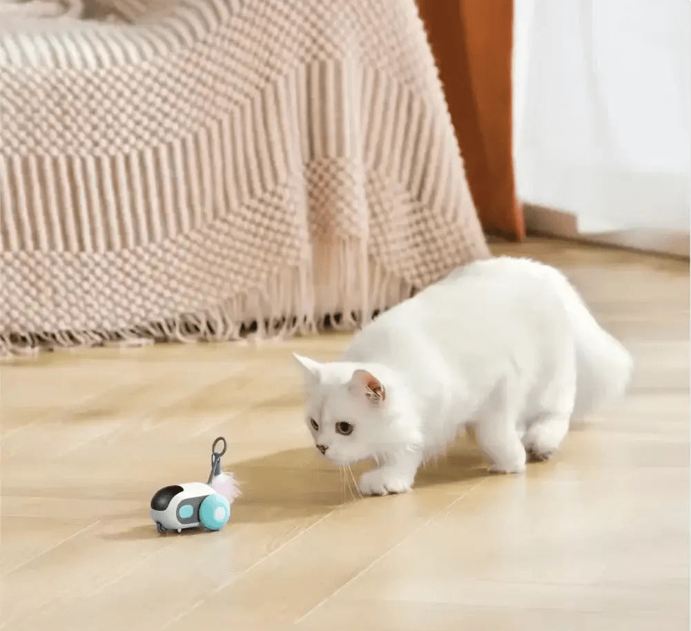 Turbo Tail 2.0 - OnovPets™ Toys