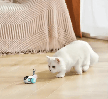 Turbo Tail 2.0 - OnovPets™ Toys
