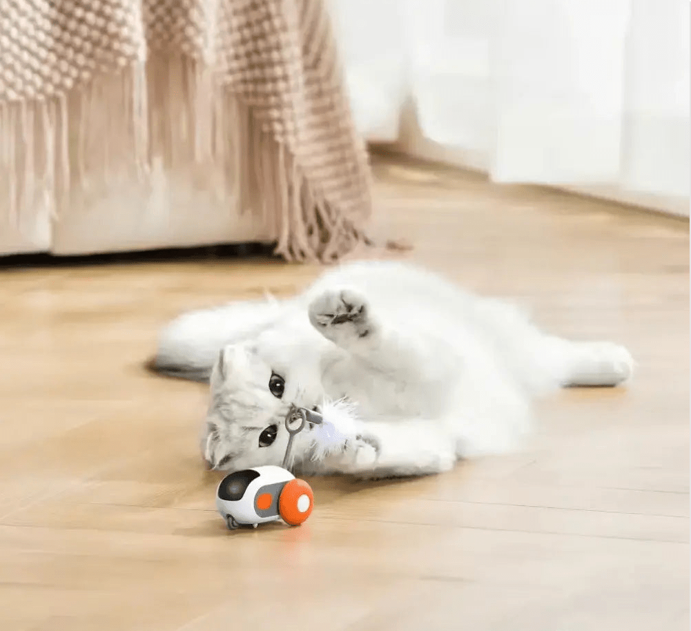 Turbo Tail 2.0 - OnovPets™ Toys