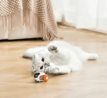 Turbo Tail 2.0 - OnovPets™ Toys