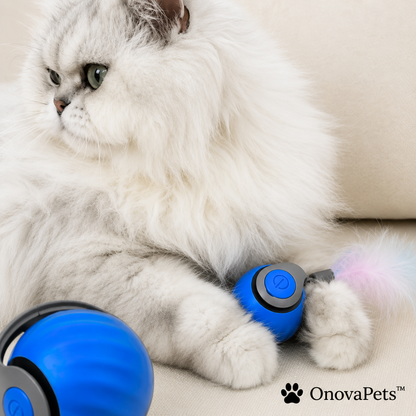 Speedy Tail 2.0 - OnovaPets™ Toys