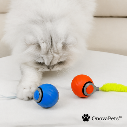 Speedy Tail 2.0 - OnovaPets™ Toys