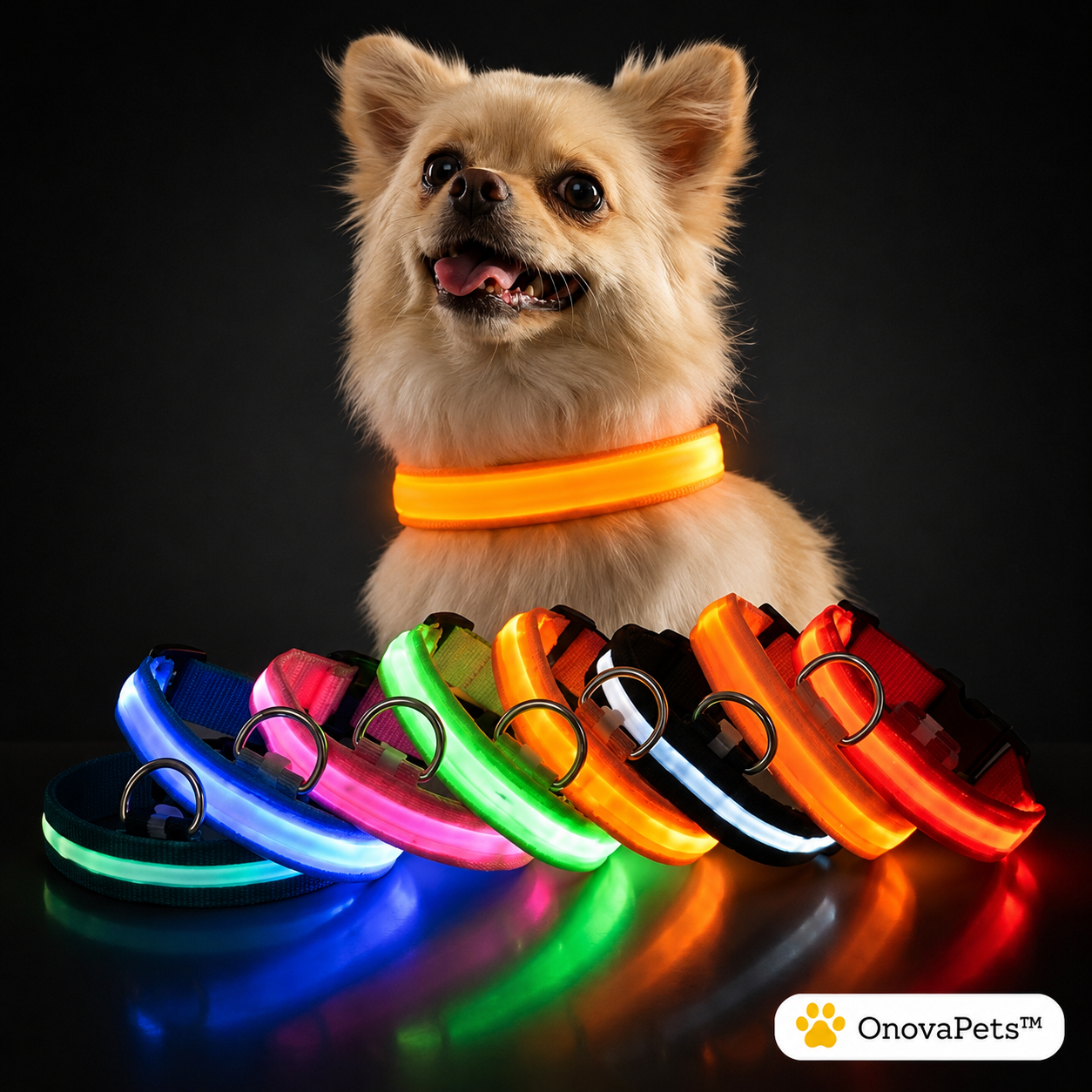 LED Collar - OnovaPets™