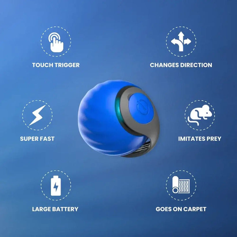 Speedy Tail 2.0 - OnovaPets™ Toys
